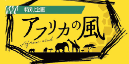 特別企画 アフリカの風について